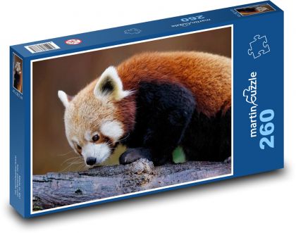 Roter Panda - Tier, Säugetier - Puzzle - 260 Teile