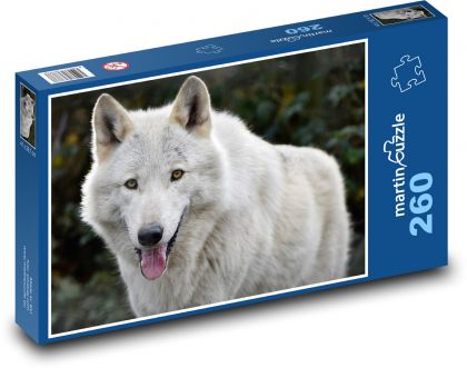 Biely vlk - divoké zviera, cicavec - Puzzle 260 dielikov, rozmer 41x28,7 cm