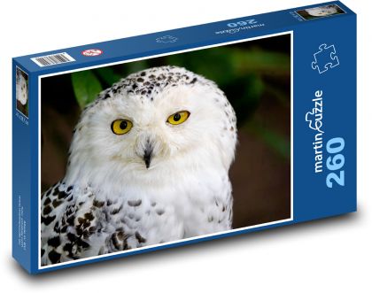 Snow owl - white owl, bird - Puzzle 260 pieces, size 41x28.7 cm 