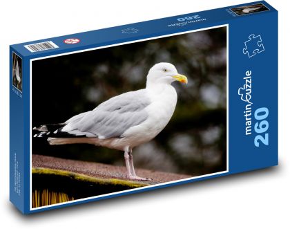 Mewa srebrzysta - ptak, pióra - Puzzle 260 elementów, rozmiar 41x28,7 cm