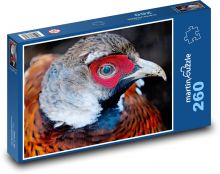 Pheasant - bird, animal Puzzle 260 pieces - 41 x 28.7 cm 