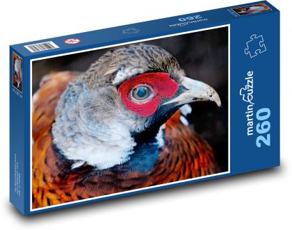 Pheasant - bird, animal - Puzzle 260 pieces, size 41x28.7 cm 