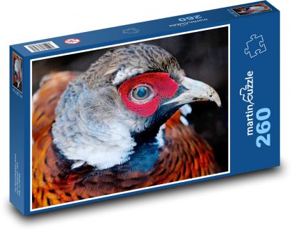 Bažant - pták, zvíře - Puzzle 260 dílků, rozměr 41x28,7 cm