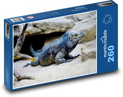 Leguán - plaz, skála - puzzle 260 dílků