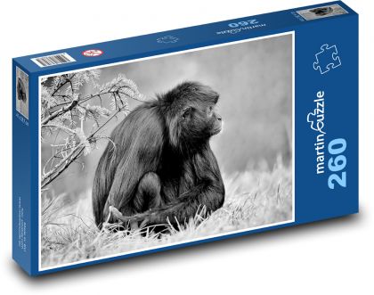 Opice - primát, savec - Puzzle 260 dílků, rozměr 41x28,7 cm