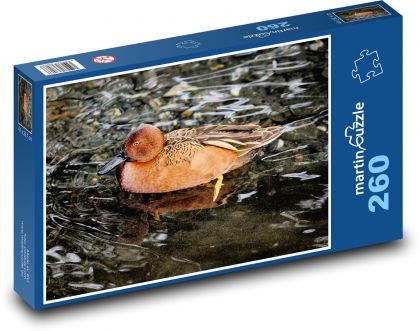 Kachna - vodní pták, jezero - Puzzle 260 dílků, rozměr 41x28,7 cm