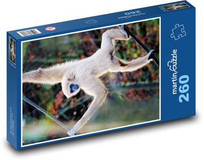 Gibon běloruký - opice, primát - Puzzle 260 dílků, rozměr 41x28,7 cm