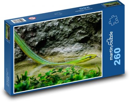 Grüne Schlange - Reptil, Wasser - Puzzle - 260 Teile