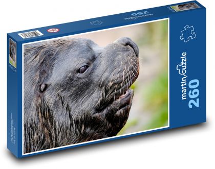 Lachtan - šelma, ploutvonožec - Puzzle 260 dílků, rozměr 41x28,7 cm