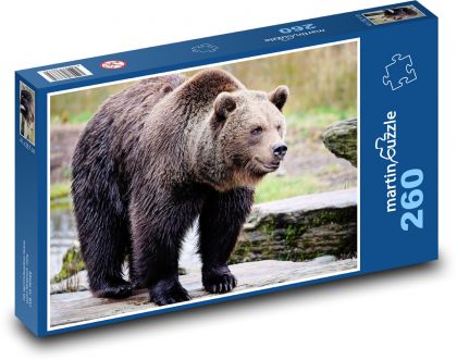 Grizzly - medveď, zviera - Puzzle 260 dielikov, rozmer 41x28,7 cm