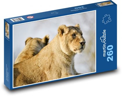 Lvice - velká kočka, zvíře - puzzle 260 dílků