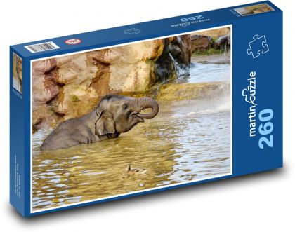 Slůně ve vodě - mládě, slon - Puzzle 260 dílků, rozměr 41x28,7 cm