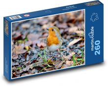 Červenka - vták, perie Puzzle 260 dielikov - 41 x 28,7 cm 