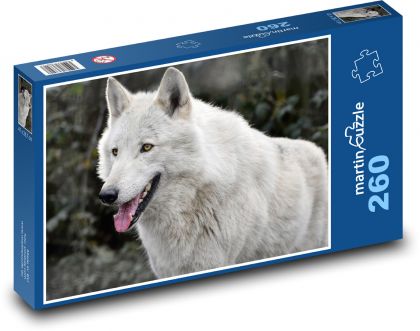 Vlk šedivý - šelma, vytie vlkov - Puzzle 260 dielikov, rozmer 41x28,7 cm