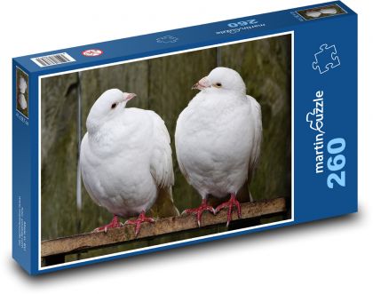 Holubice - ptáci, holubi - puzzle 260 dílků