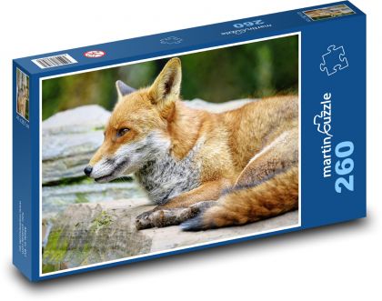 Liška - lovec, savec - Puzzle 260 dílků, rozměr 41x28,7 cm