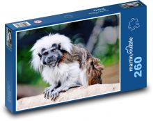 Tamarín - malá opice, zvíře Puzzle 260 - 41x28,7 cm