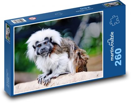 Tamarin - kleiner Affe, Tier - Puzzle - 260 Teile