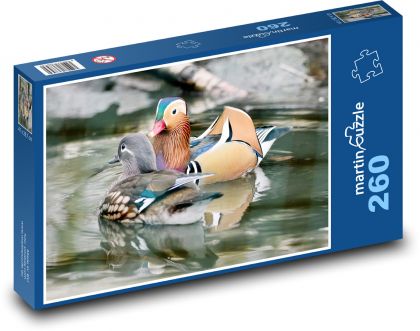 Kachnička mandarinská - kachna, pták - Puzzle 260 dílků, rozměr 41x28,7 cm