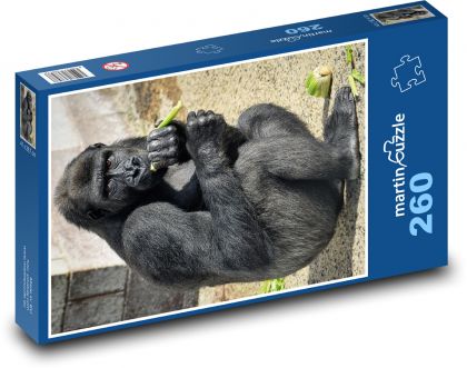 Gorila - opice, privát  - Puzzle 260 dílků, rozměr 41x28,7 cm