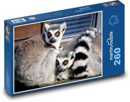 Lemur - ogród zoologiczny, ssak - Puzzle 260 elementów, rozmiar 41x28,7 cm