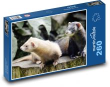 Fretky - zvířata, savci Puzzle 260 dílků - 41 x 28,7 cm