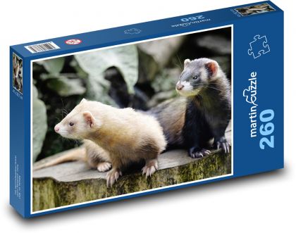 Frettchen - Tiere, Säugetiere - Puzzle - 260 Teile