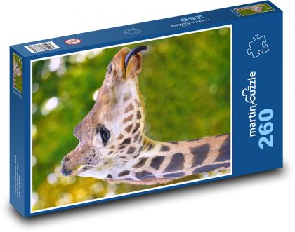 Žirafa - zviera, divá zver - Puzzle 260 dielikov, rozmer 41x28,7 cm