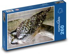 Sova - noční pták, zvíře Puzzle 260 dílků - 41 x 28,7 cm