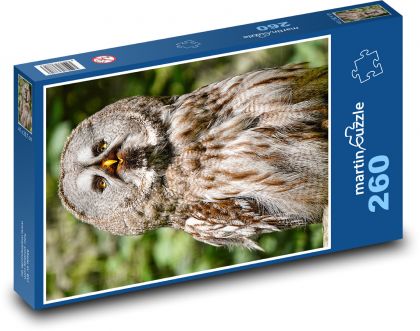 Veľká šedá sova - vták, dravec - Puzzle 260 dielikov, rozmer 41x28,7 cm