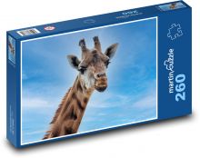 Žirafa - zvíře, savec Puzzle 260 dílků - 41 x 28,7 cm
