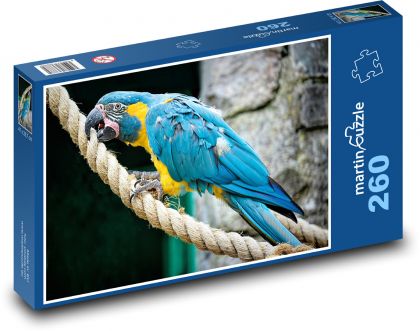Parrot on a rope - bird, macaw - Puzzle 260 pieces, size 41x28.7 cm 