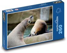 Lachtani - vodní zvířata, savci  Puzzle 260 - 41x28,7 cm
