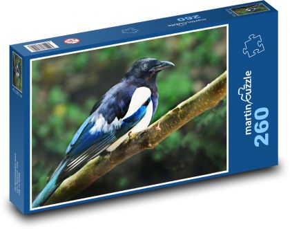 Magpie - bird, animal - Puzzle 260 pieces, size 41x28.7 cm 
