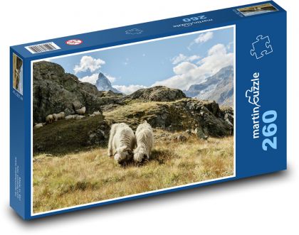 Wallisian black-nosed sheep - mountains, pasture - Puzzle 260 pieces, size 41x28.7 cm 