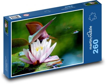 Water lily flower - flower, pond - Puzzle 260 pieces, size 41x28.7 cm 