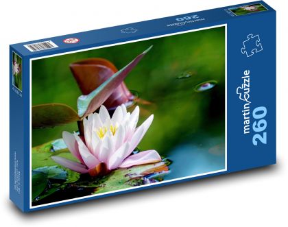 Water lily flower - flower, pond - Puzzle 260 pieces, size 41x28.7 cm