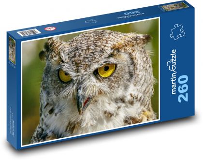Sova - dravý pták, zvíře - puzzle 260 dílků