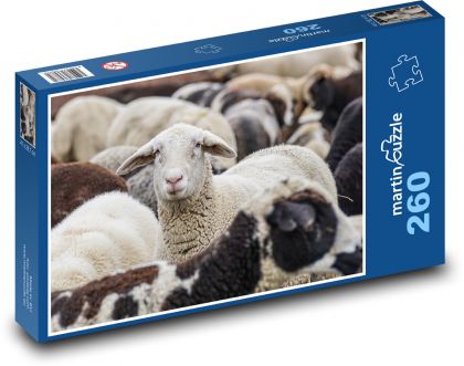 Stádo ovcí - zvířata, savci - Puzzle 260 dílků, rozměr 41x28,7 cm
