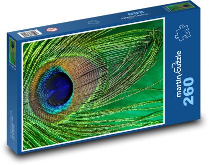 Pávie perie - páv, vták - Puzzle 260 dielikov, rozmer 41x28,7 cm