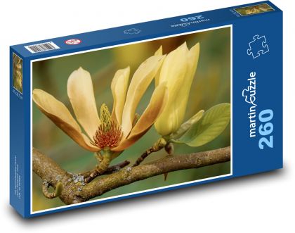 Magnolia - kvet, kvet - Puzzle 260 dielikov, rozmer 41x28,7 cm