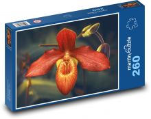 Tropical orchid - flower, flower Puzzle 260 pieces - 41 x 28.7 cm
