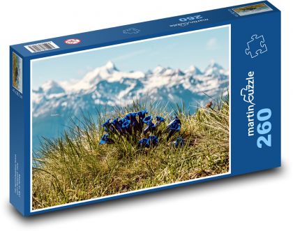 Hořce - modré květiny, hory - Puzzle 260 dílků, rozměr 41x28,7 cm