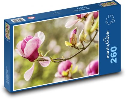 Magnolia - jarná kvetina, záhrada - Puzzle 260 dielikov, rozmer 41x28,7 cm