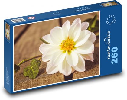 Jiřina - zahradní květina, květ - puzzle 260 dílků