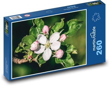 Apfelblüte - Ast, Baum - Puzzle - 260 Teile