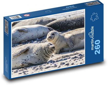 Tuleň - zvíře, pláž - Puzzle 260 dílků, rozměr 41x28,7 cm