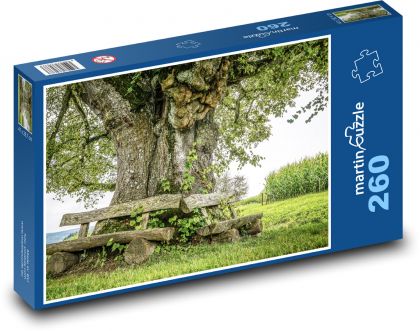 Starý strom - lavička, kmen  - Puzzle 260 dílků, rozměr 41x28,7 cm