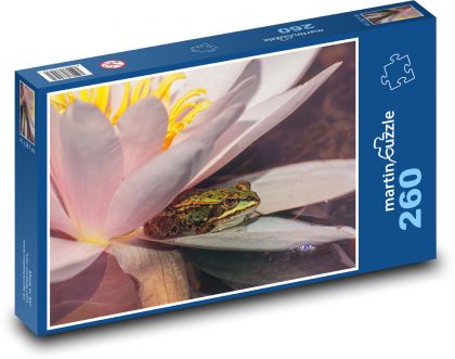 Frosch - Seerose, Wasser - Puzzle - 260 Teile