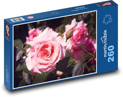 Rose - rosa Blume, Blume - Puzzle - 260 Teile